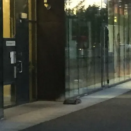 Skarer Veie 58 Appartement Lorenskog